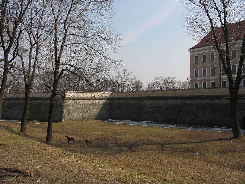 Zamek Rzeszów Fosa