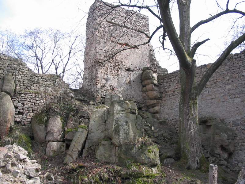 Zamek Janowice Wielkie Wieża