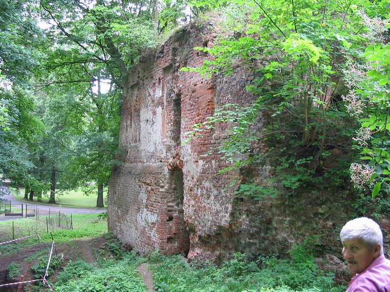 Zamek Milicz Pozostałości murów