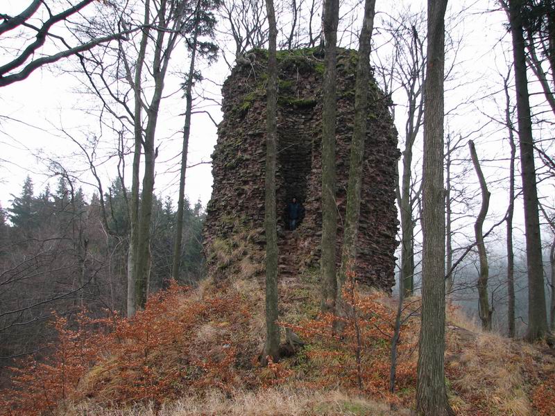 Zamek Radosno Wieża widziana z dziedzińca