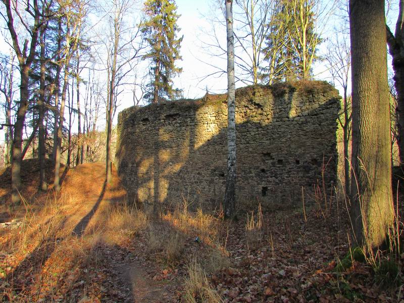 Zamek Cieszów - zamek Cisy Pozostałości murów