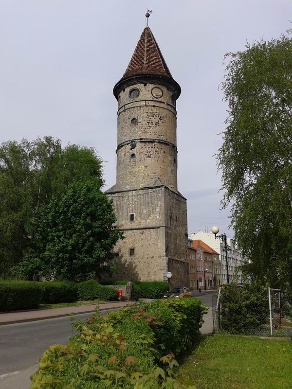 Zamek Lwówek Śląski Baszta Lubańska