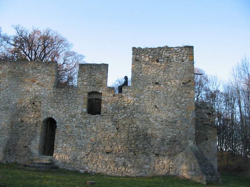 Zamek Bąkowa Góra Front