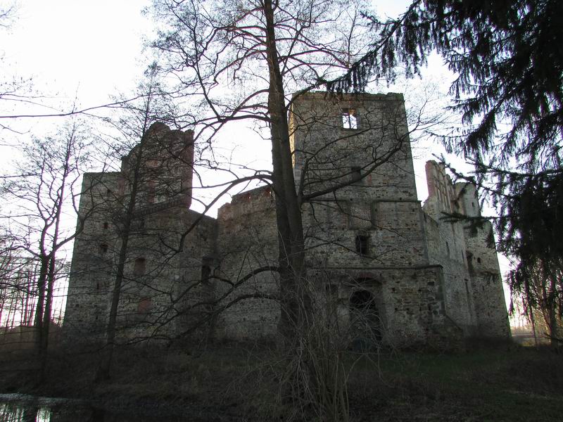 Zamek Drzewica Strona północna