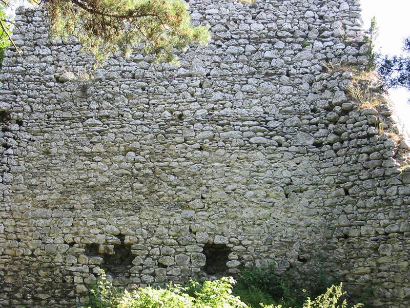 Zamek Bydlin Ściana