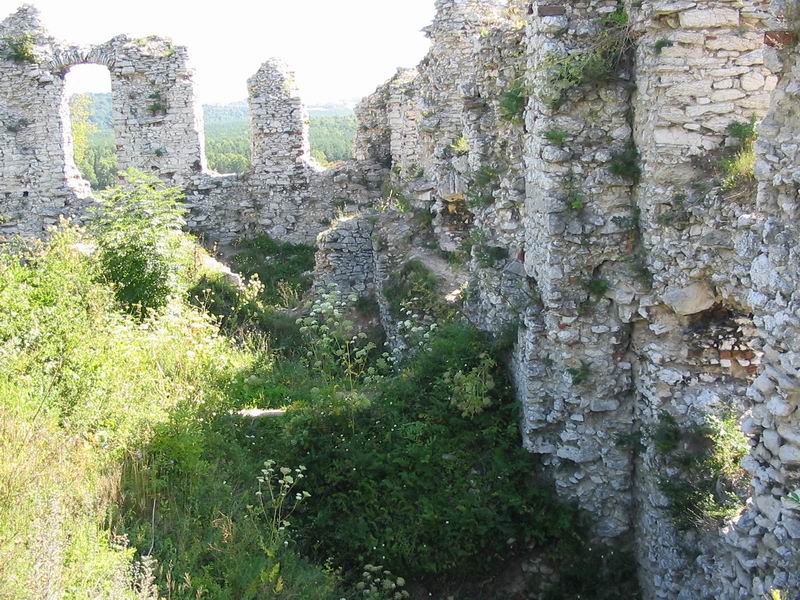 Zamek Rabsztyn Ruiny zabudowań