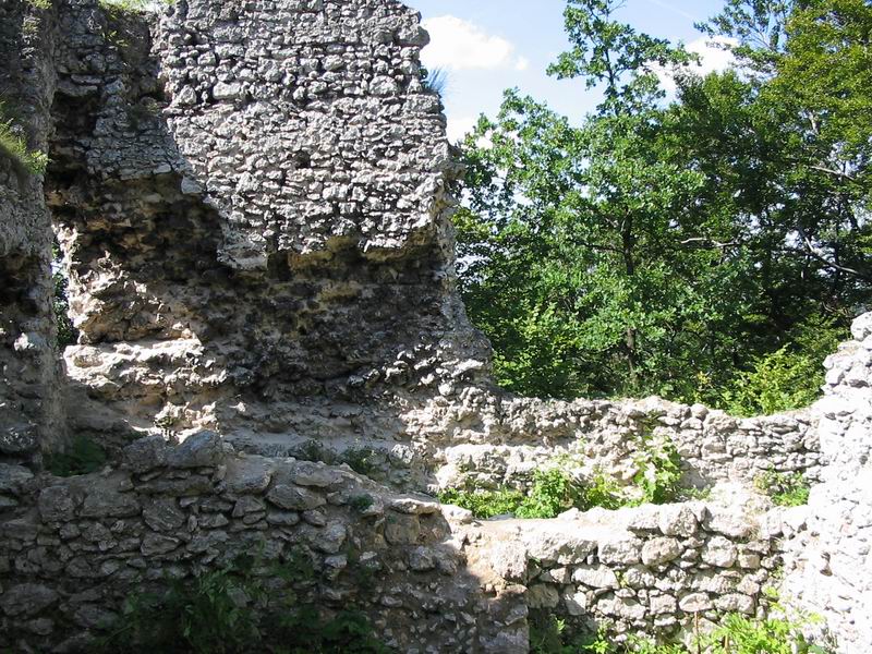 Zamek Smoleń Pozostałości zabudowań