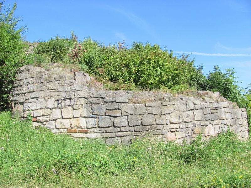 Zamek Tarnów Pozostałości murów
