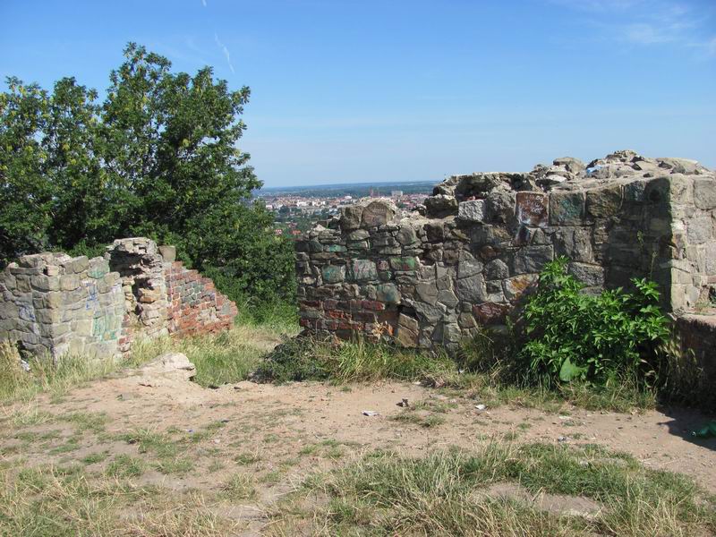 Zamek Tarnów Pozostałości murów