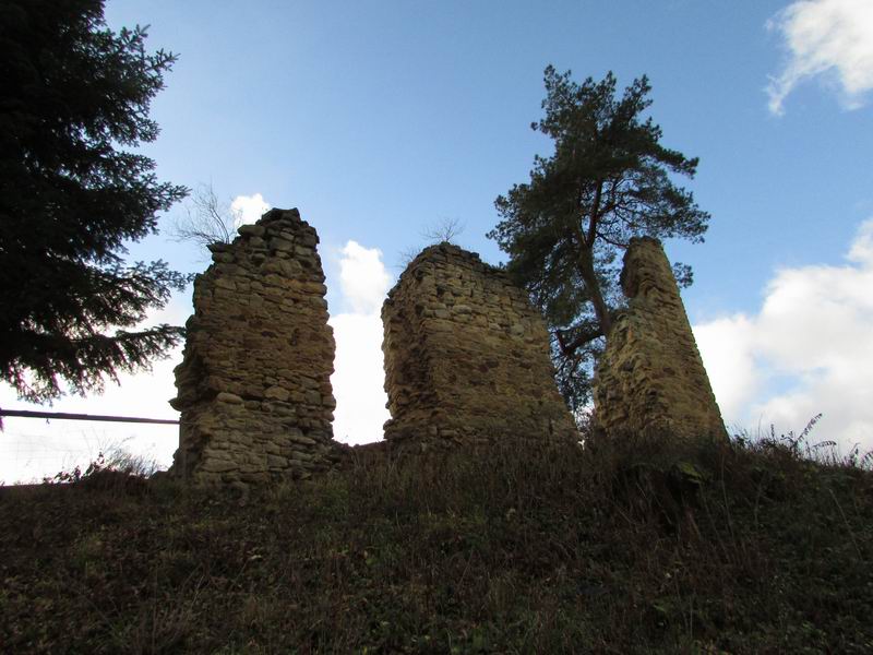 Zamek Rożnów (zamek górny) Zamkowe ruiny