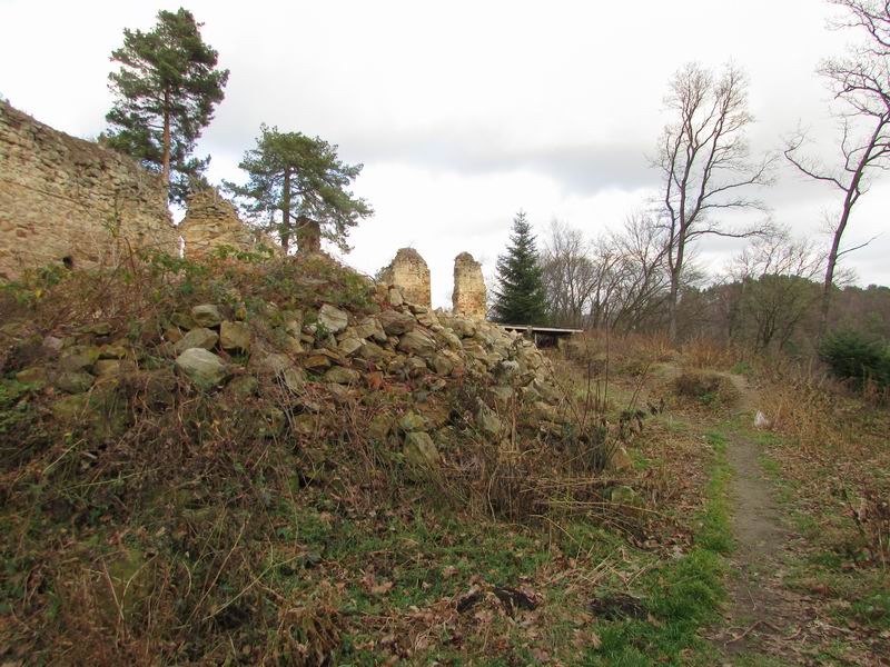 Zamek Rożnów (zamek górny) Pozostałości murów