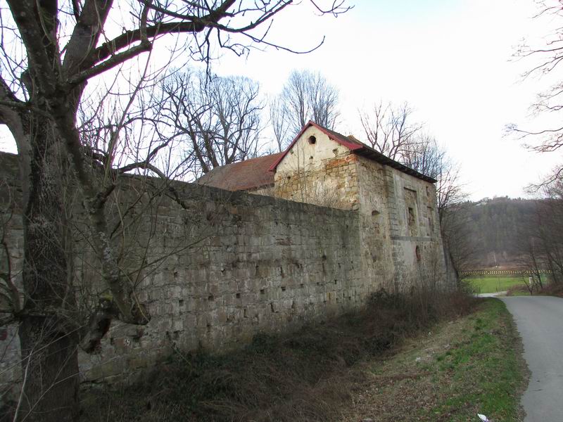 Zamek Rożnów (zamek dolny beluard) Zamkowe mury widziane od zachodniej strony