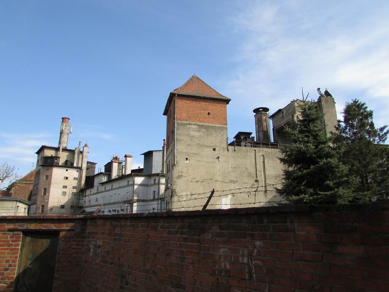 Zamek Namysłów Pozostałości zamku w Namysłowie, znajdujące się obecnie na terenie browaru.