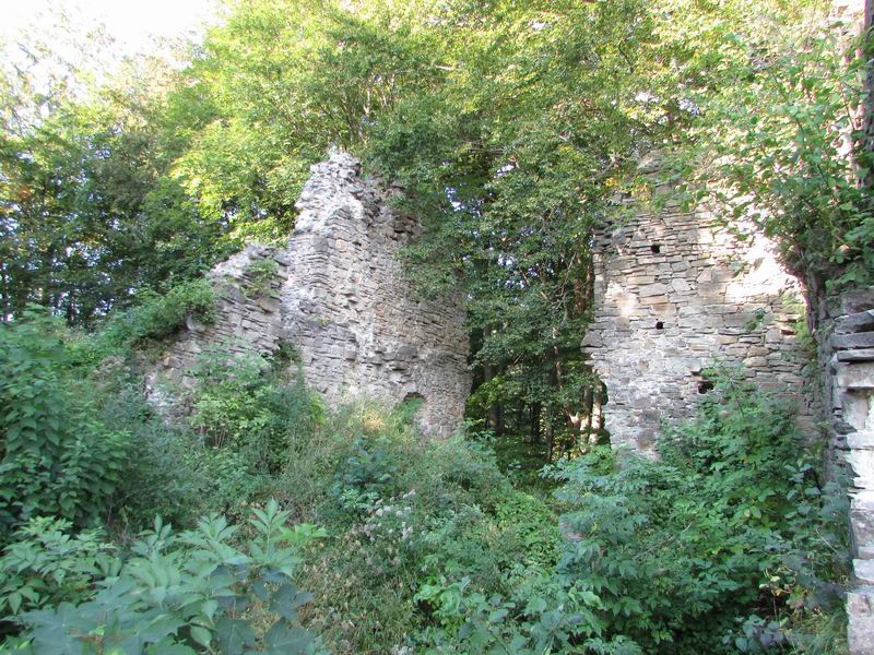 Zamek Manasterzec - Zamek Sobień Pozostałości murów
