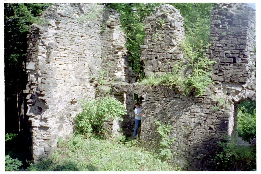 Zamek Manasterzec - Zamek Sobień Resztki murów