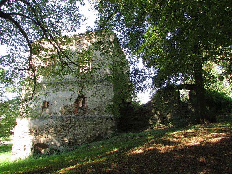 Zamek Dąbrówka Starzeńska Strona południowa