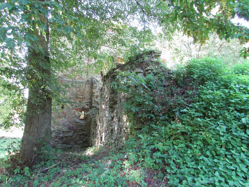Zamek Dąbrówka Starzeńska Ruiny zabudowań