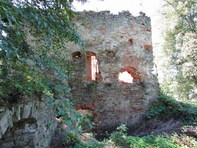 Zamek Dąbrówka Starzeńska Ruiny zabudowań