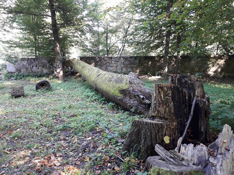Zamek Dukla Mur otaczający Park uszkodzony przez przewrócone drzewo.