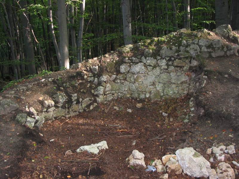 Zamek Ostrężnik Pozostałości murów