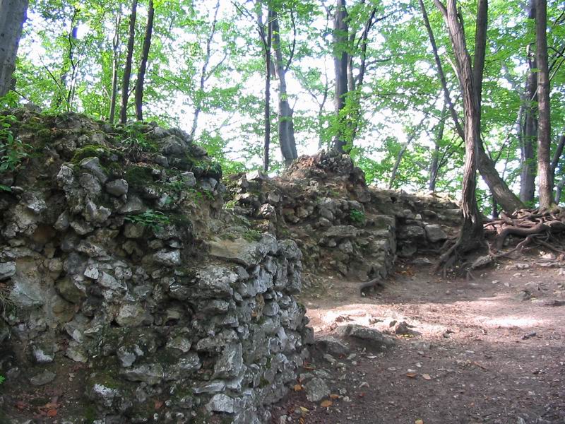 Zamek Ostrężnik Pozostałości murów