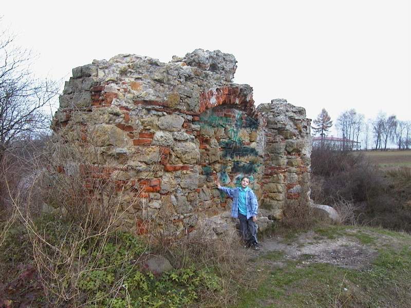 Zamek Ossolin Resztki murów