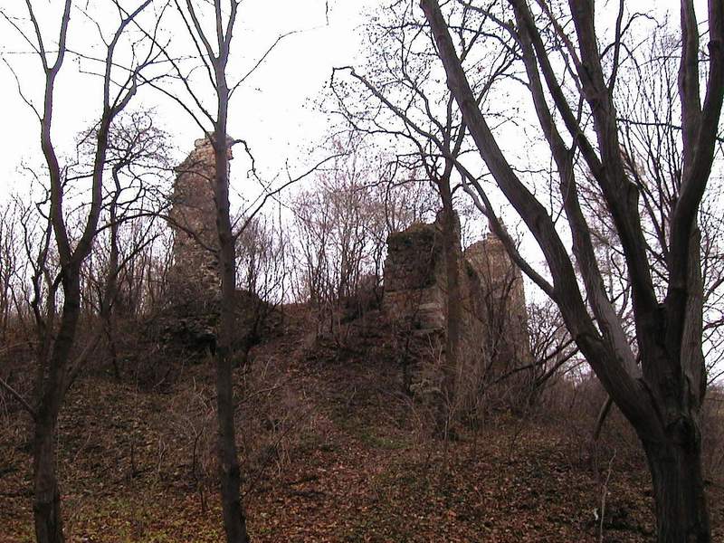 Zamek Międzygórz Ruiny