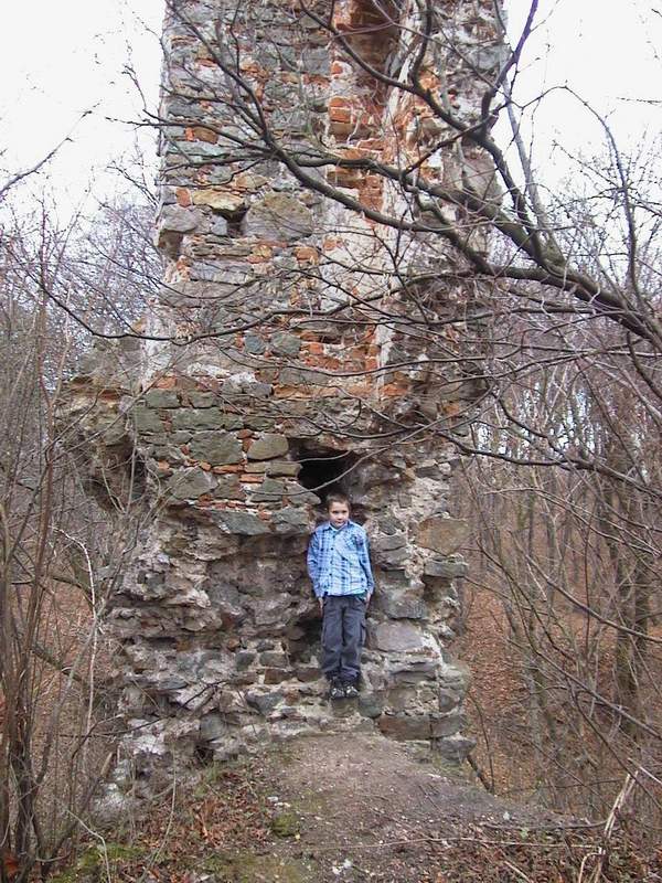 Zamek Międzygórz Wieża