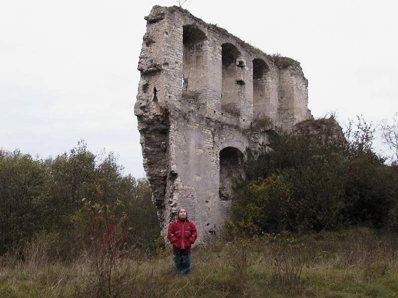 Zamek Mokrsko Górne Ruiny