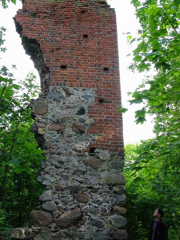 Zamek Szestno Pozostałości murów