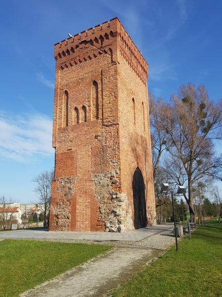 Zamek Braniewo Wieża bramna zamku biskupiego