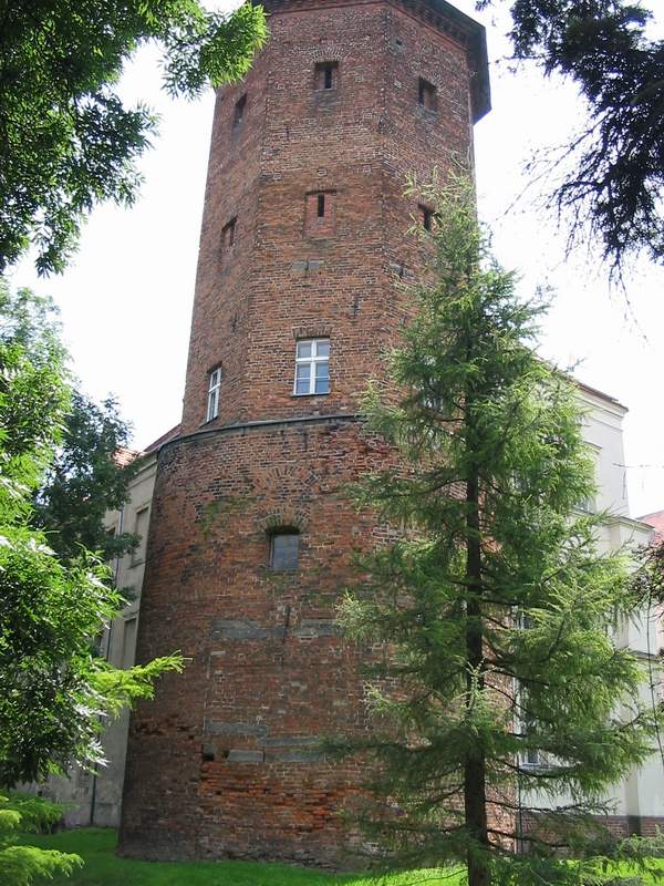 Zamek Koźmin Wieża