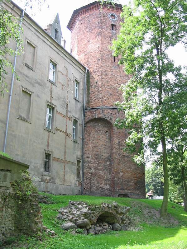 Zamek Koźmin Pozostałości ruin