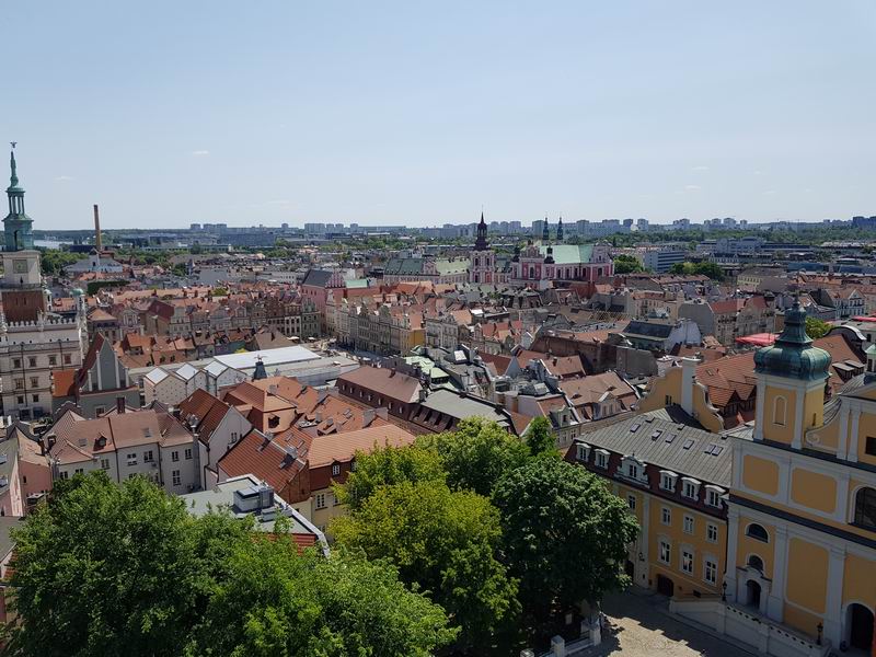 Zamek Poznań Widok z zamkowej wieży