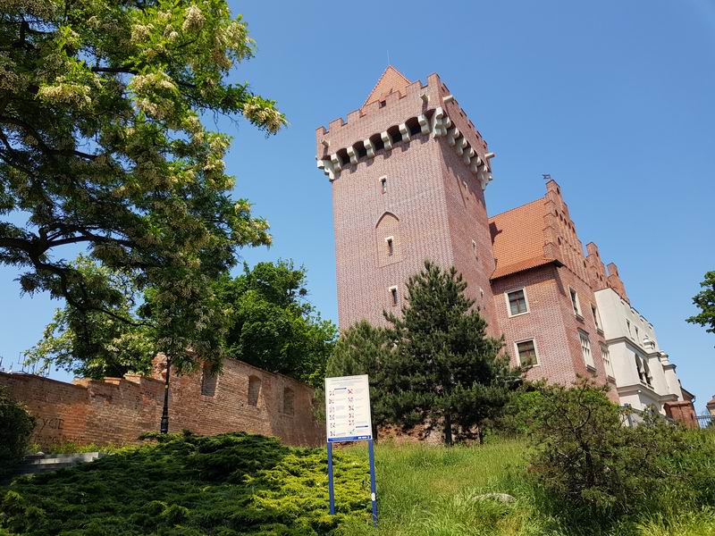 Zamek Poznań W całej okazałości