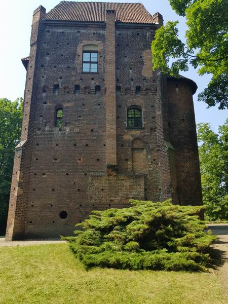 Zamek Szamotuły Baszta Halszki